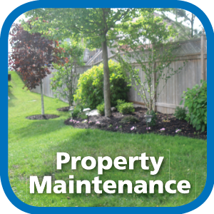 Property Maintenance